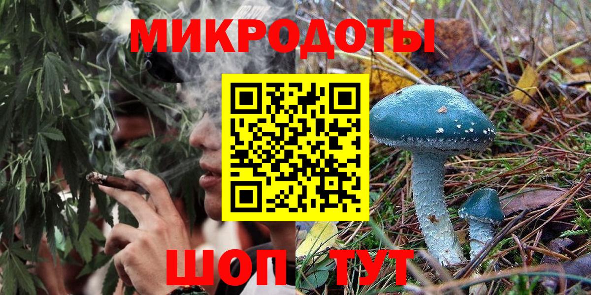 Ачхой-Мартан  Псилоцибиновые грибы прущие грибы  цена наркотик  Вход с VPN 
